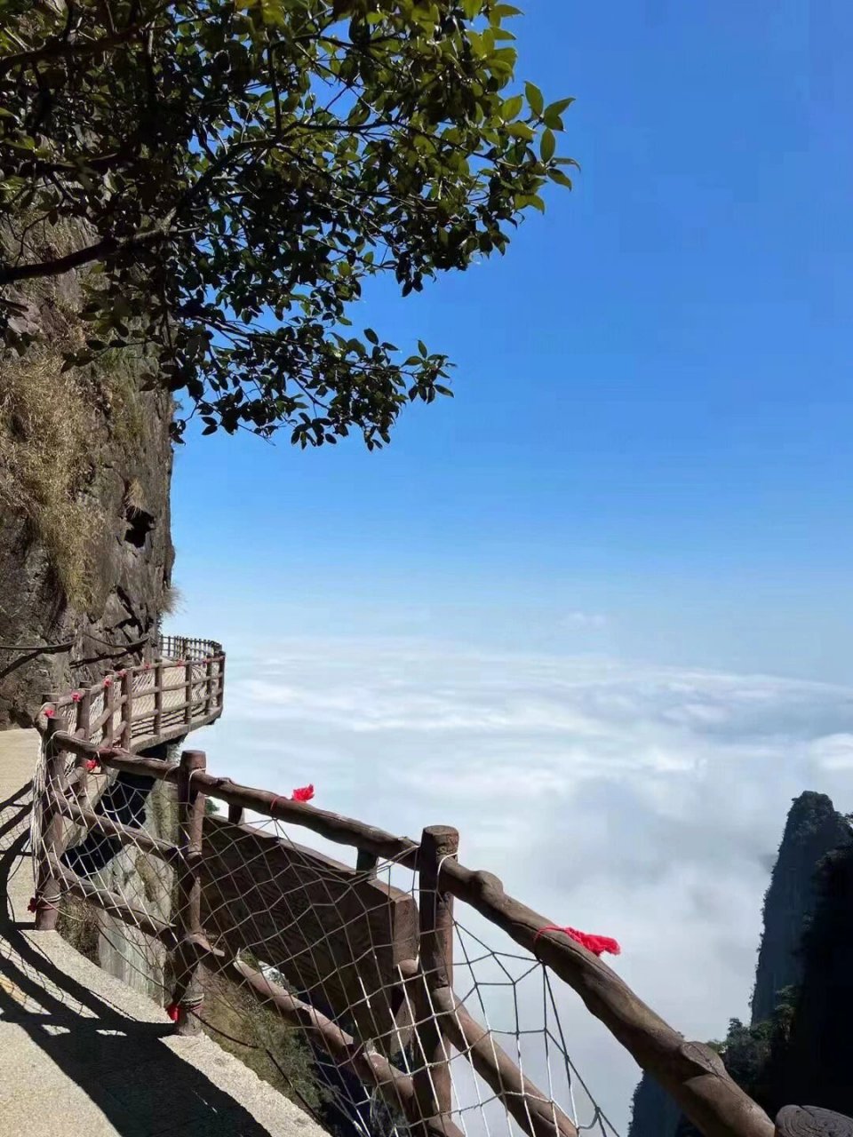 湖南郴州莽山五指峰云海,美不美你说了算 一山跨两省 湘粤在莽山 72