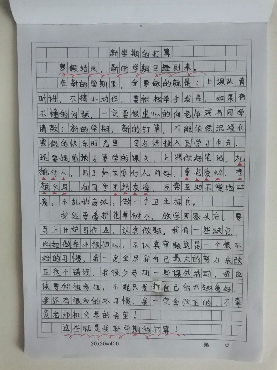 作文《新学期的打算》