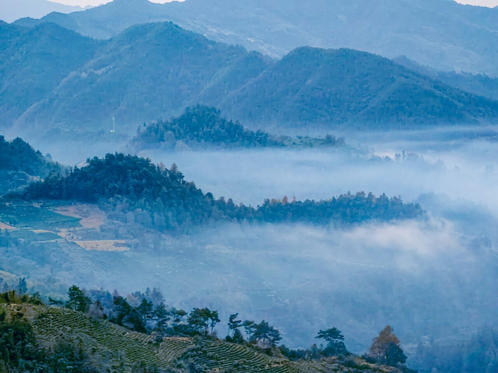 坡山云雾 安徽歙县坡山村,海拔410米,依山而建,常年云海笼罩,云端山村