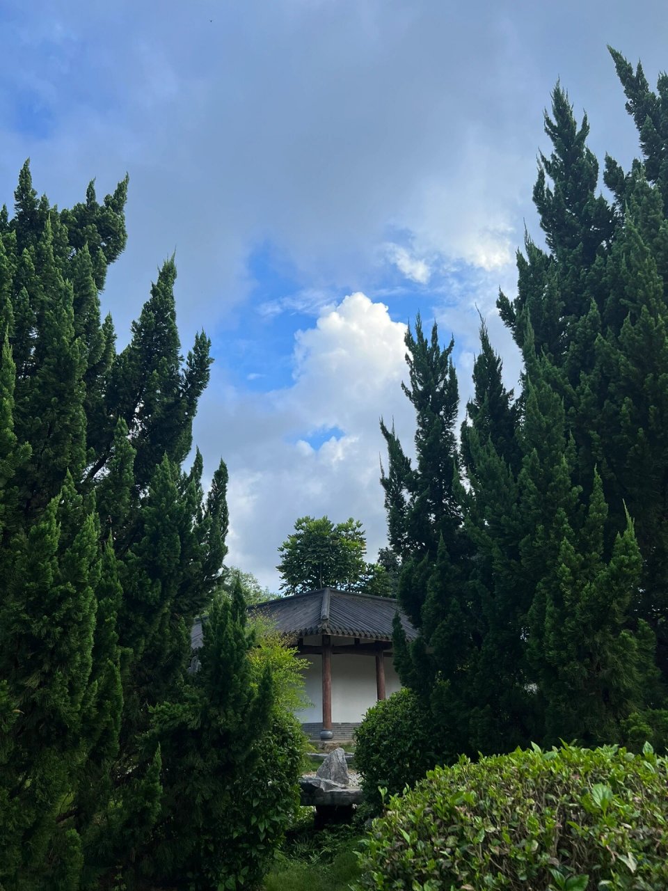 青秀山兰园987215 打车到北门比较近哦～进门一直左走,其中经过