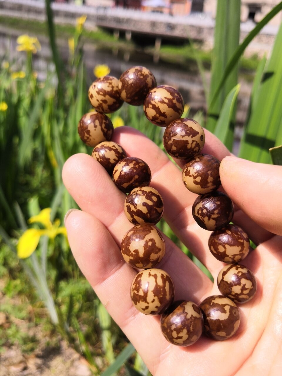 入手的虎斑花菩提根手串有几天了,主要是因为一个朋友想要,忽然也就想