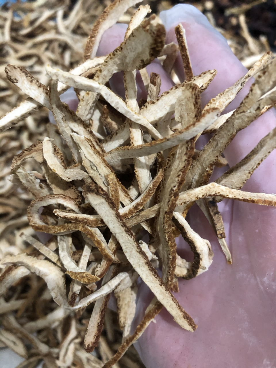 记得我第一次接触资生丸是我一起学习中医的一个朋友给的.