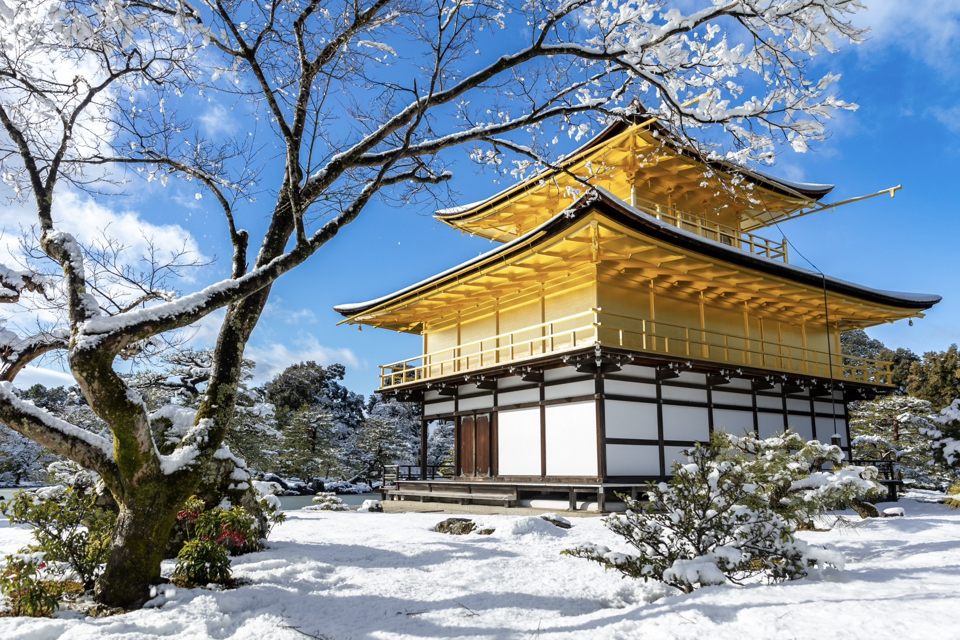 日本生活7515 雪中金阁寺,古都的宁静之美
