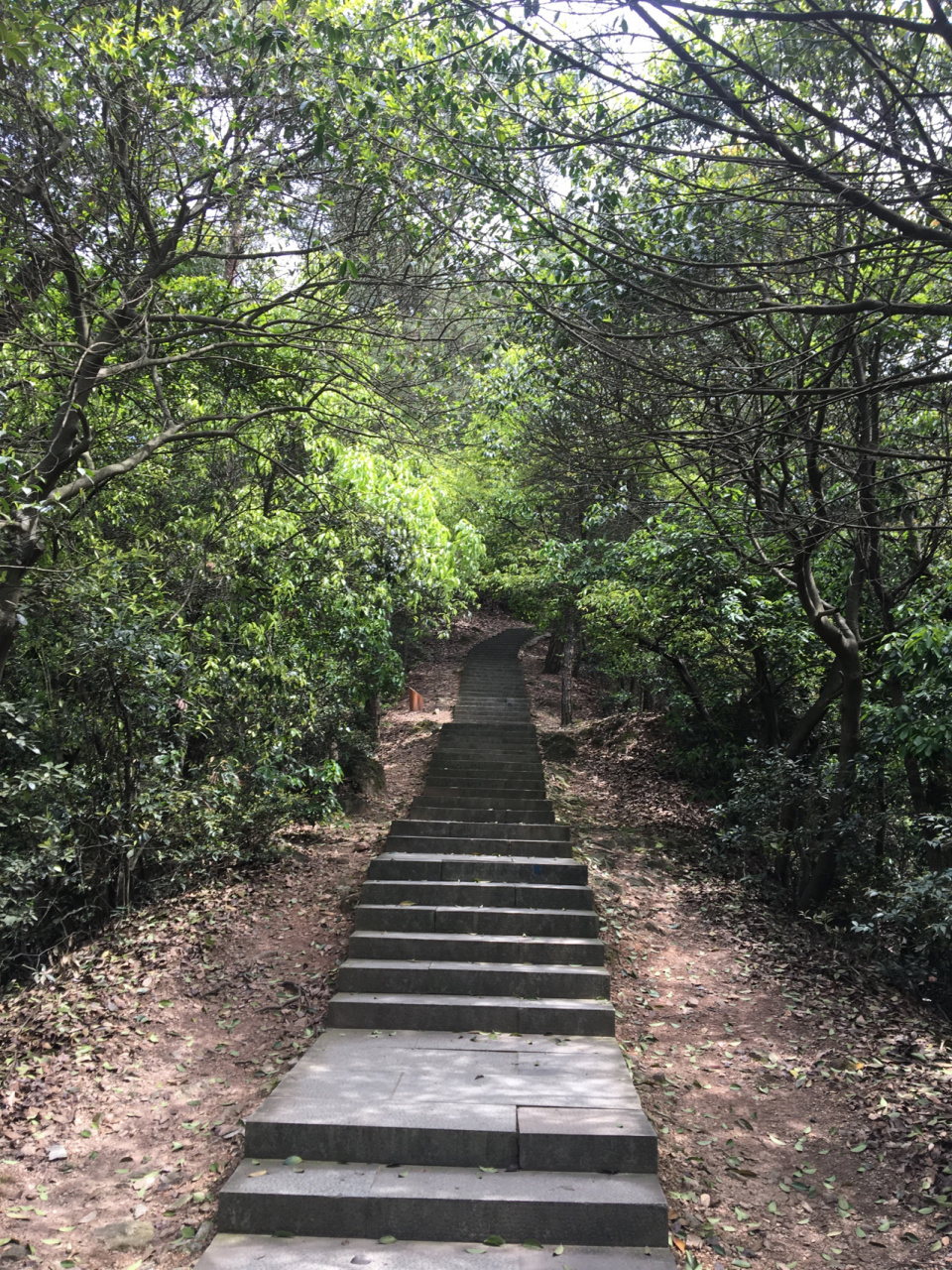 徒步|十里琅珰-云栖竹径-九溪十八涧-龙井村 从杭州东站坐一号线到凤