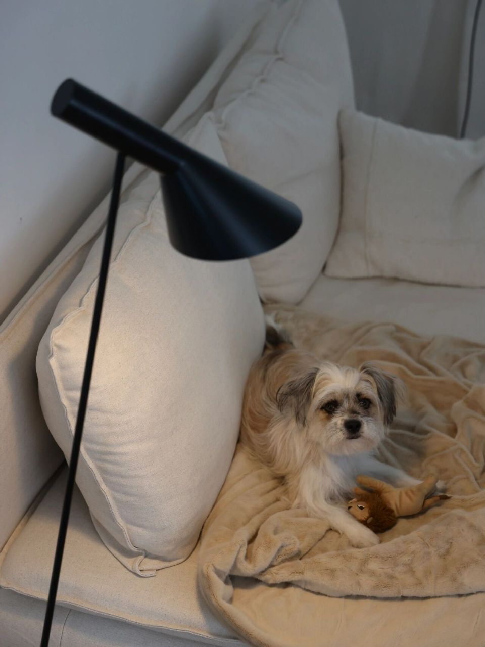 一盏灯带给家的不同氛围 92 7415louispoulsen aj floor 	 #灯