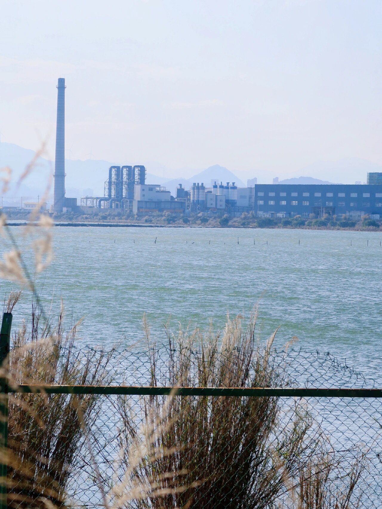 总要来仙游枫亭看次海边日落吧丨福建周边游 藏在闽南的海滩这里有