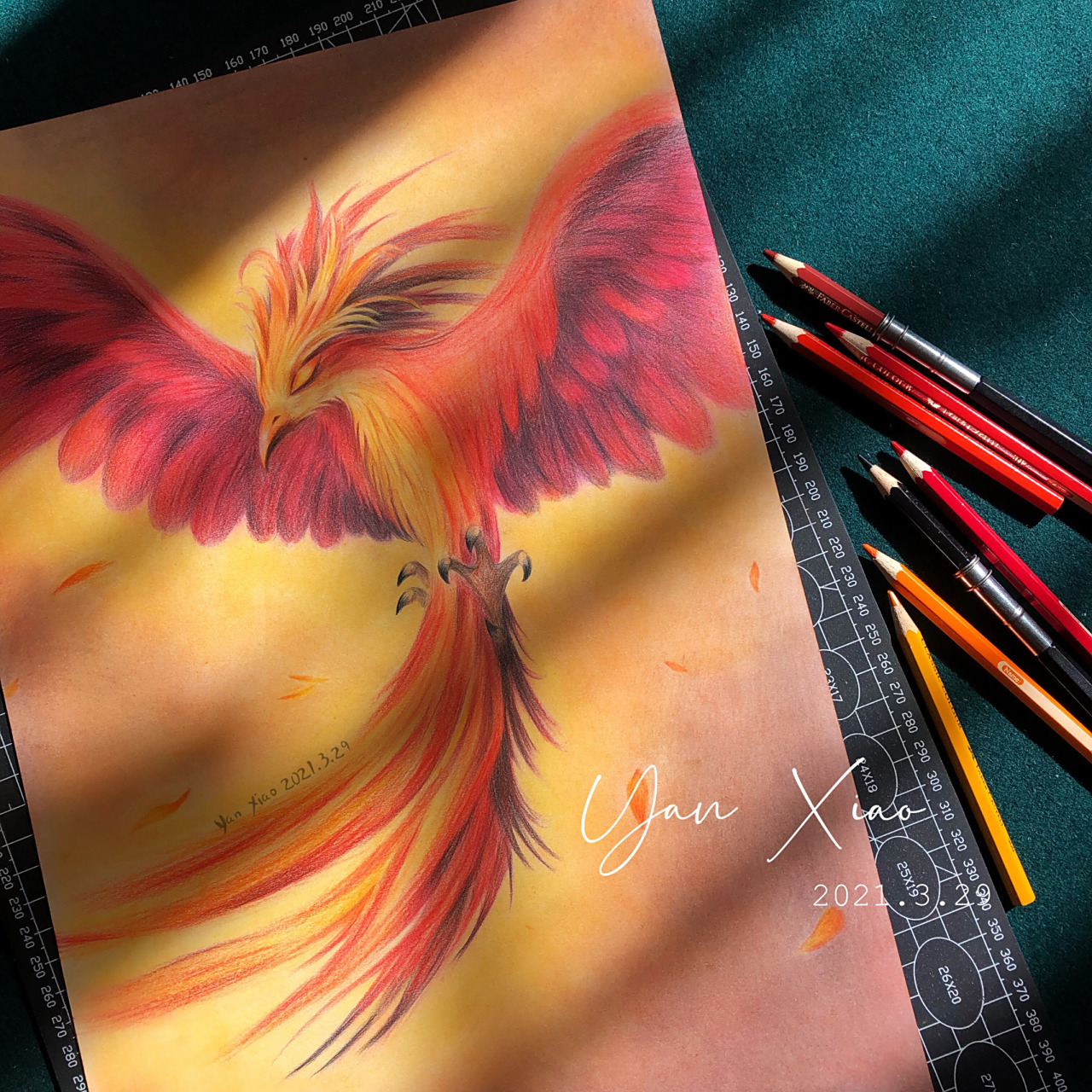 彩铅画 | 浴火重生 火凤凰 《凤凰涅槃》中说:"凤凰每500年自焚为灰烬