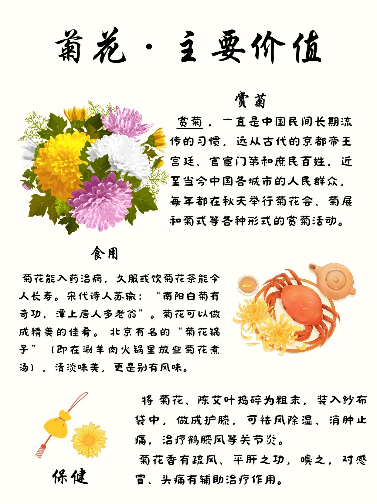 菊花知识|一起来认识花中四君子之菊花