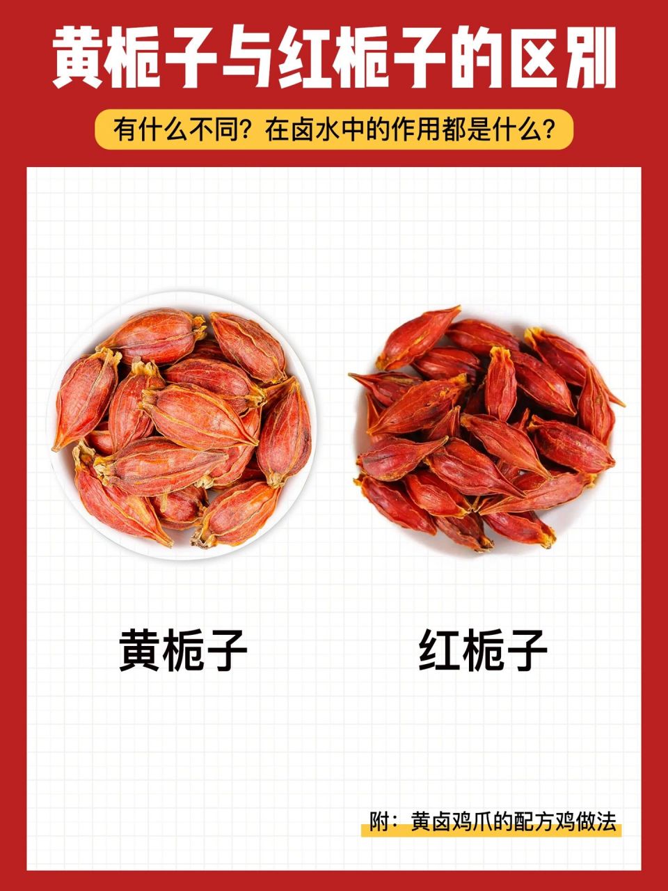 97黄栀子和红栀子的区别及应用,卤菜人必看!