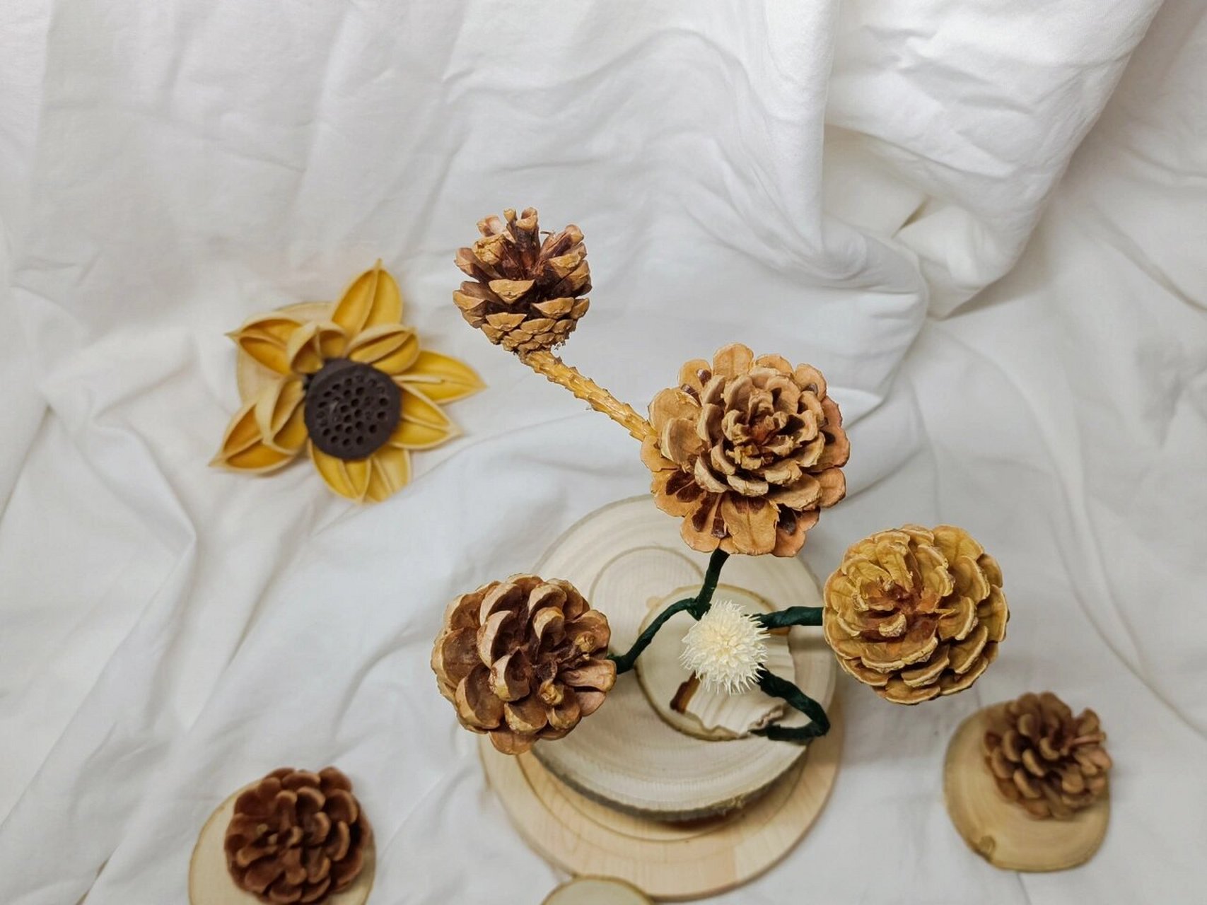 diy松塔小摆件,发现自然的美 周末出去玩森林9898公园里掉下来的