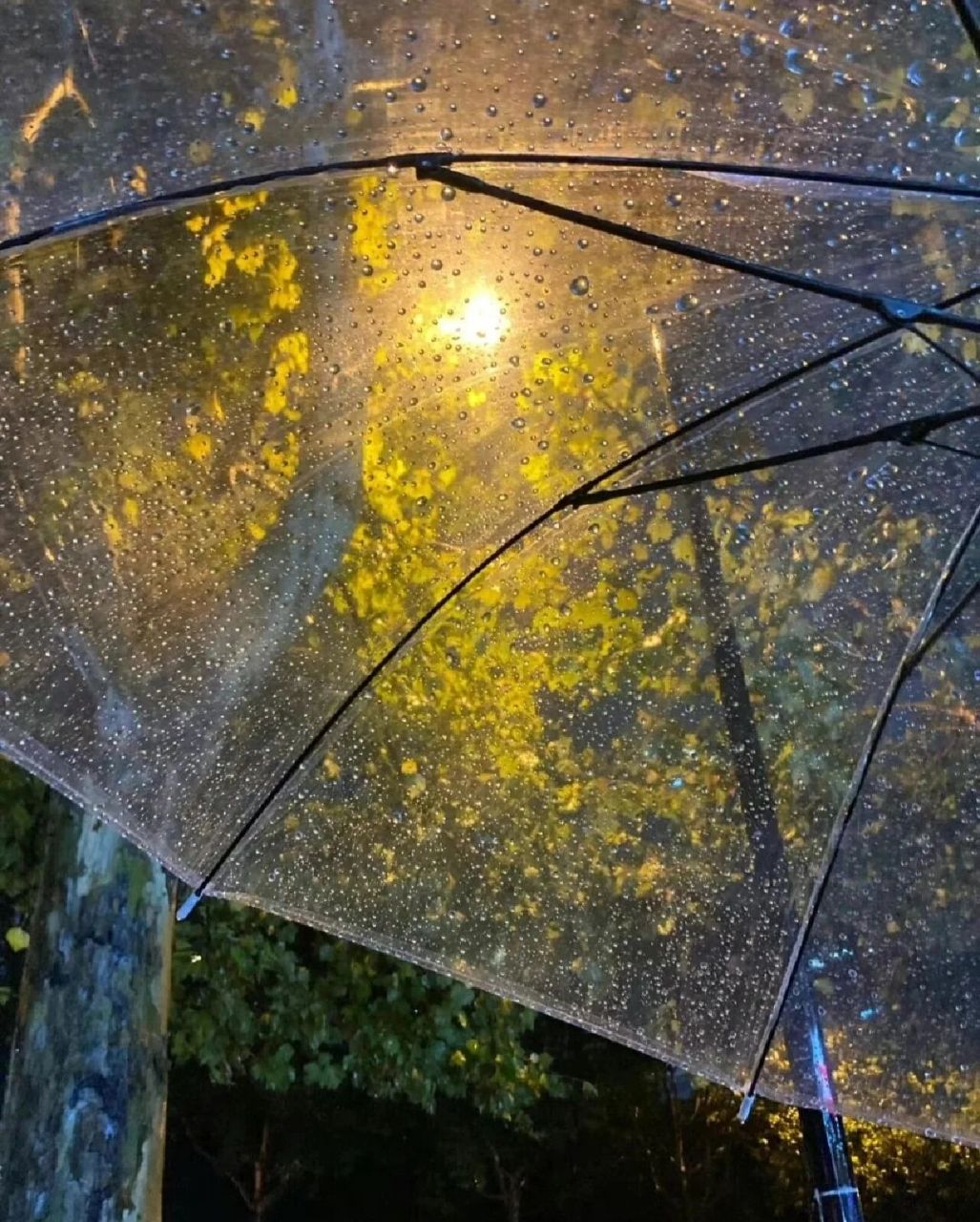 下雨图片风景真实照片图片