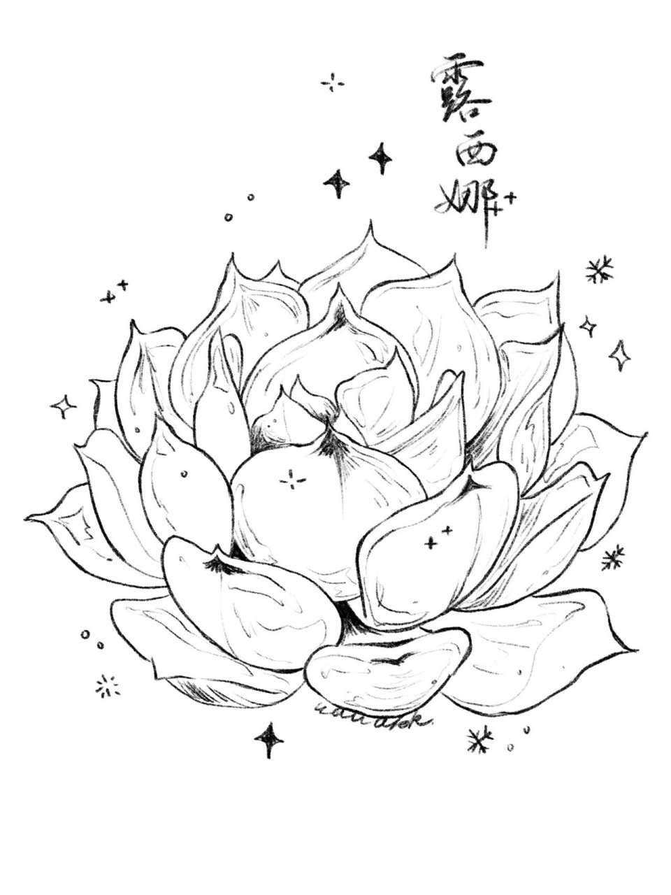 速写九宫格丨多肉植物线稿丨34-42 更新了新的九宫格,大家快去点赞