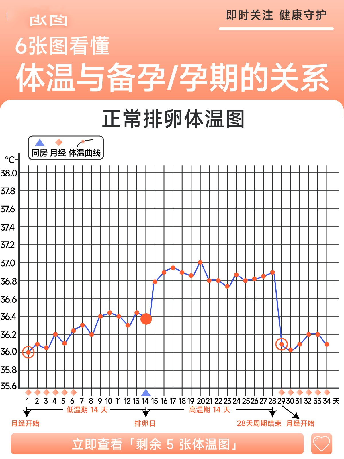 6张图看懂体温与备孕/怀孕的关系 还有多少姐妹不知道【量体温】对