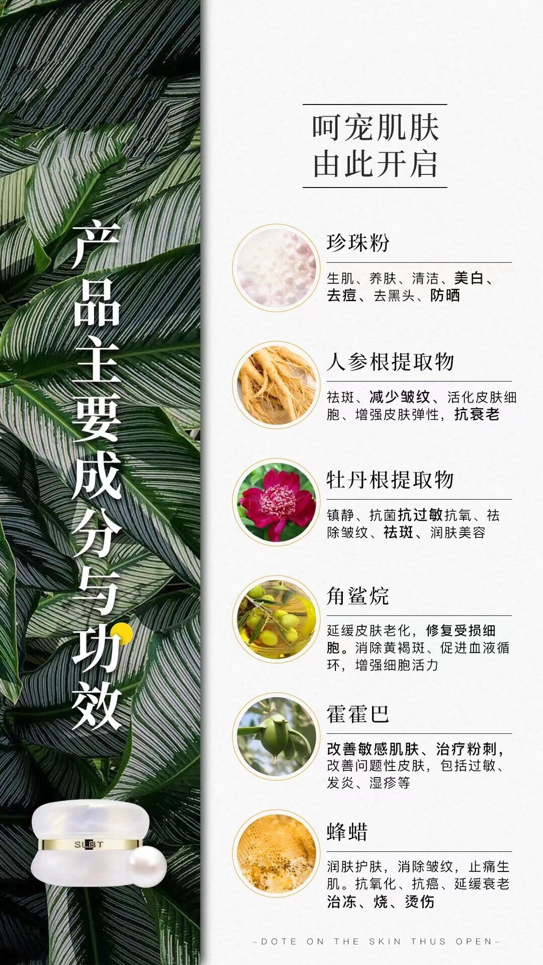 施洛贝缇珍珠膏成分图片