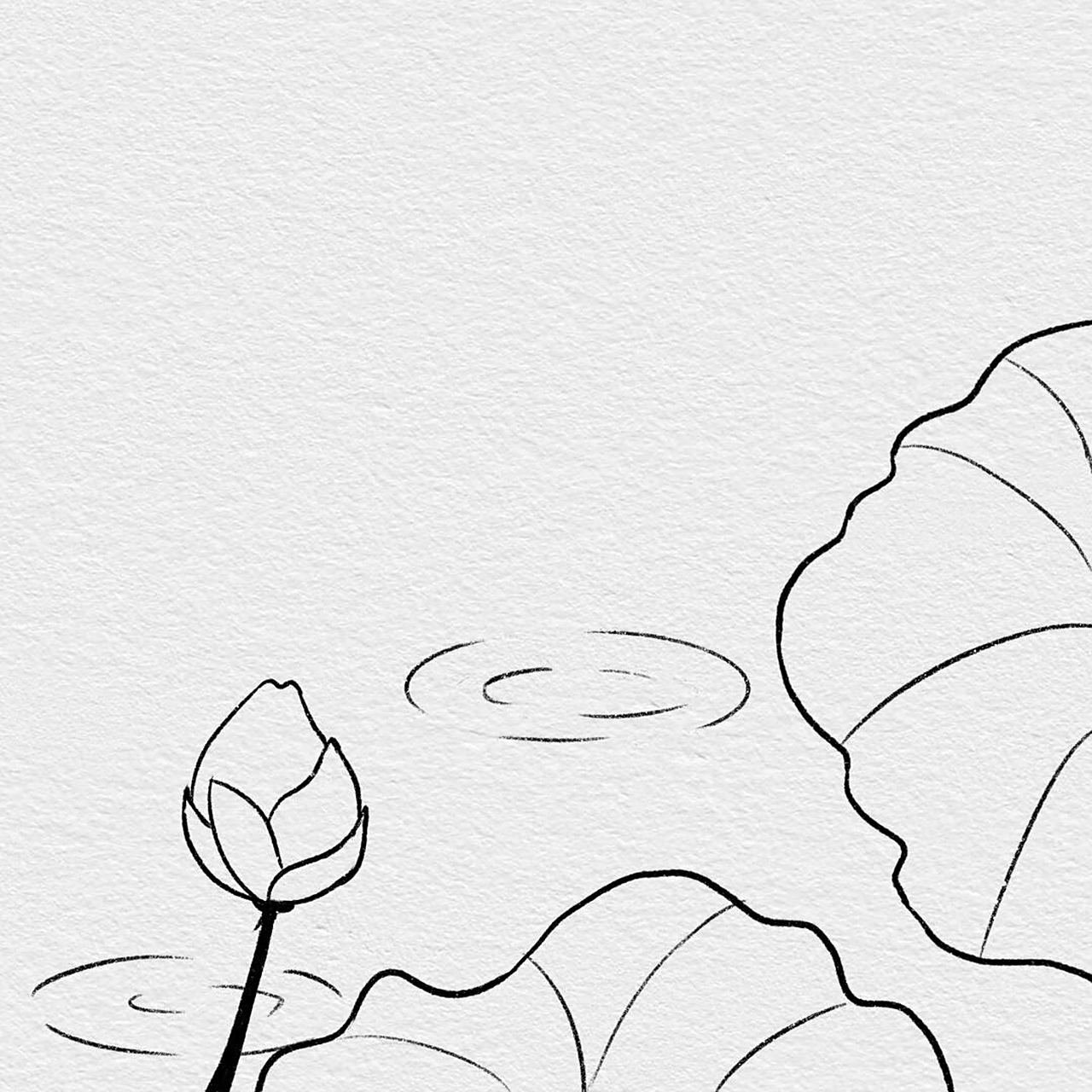 1分钟简笔画教程|国风极简画 小荷才露尖尖角,早有蜻蜓立上头.