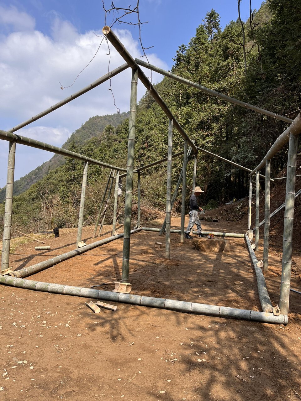 竹棚搭建方法教程图片