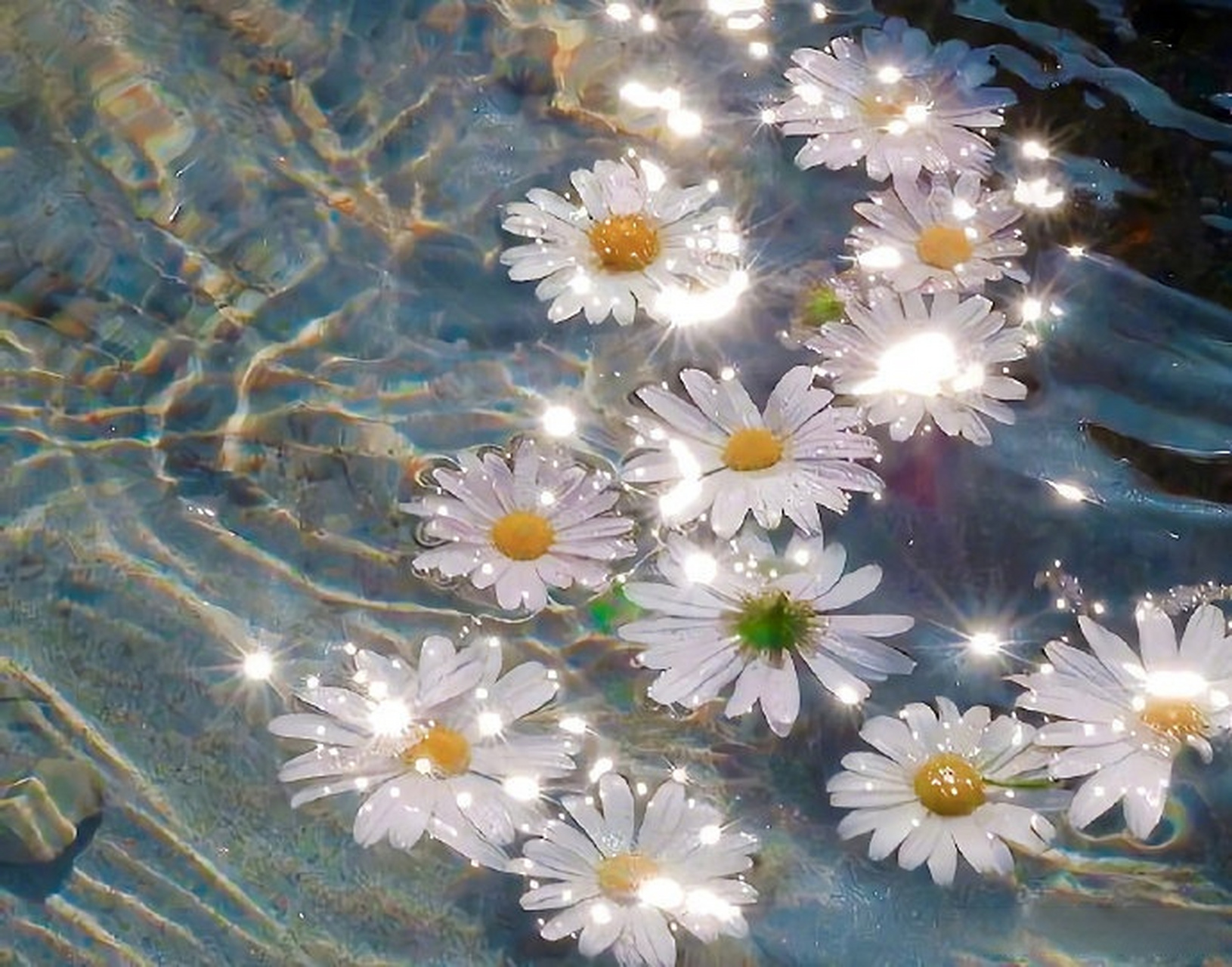 双语早晚安# every effort is the foreshadowing of luck.