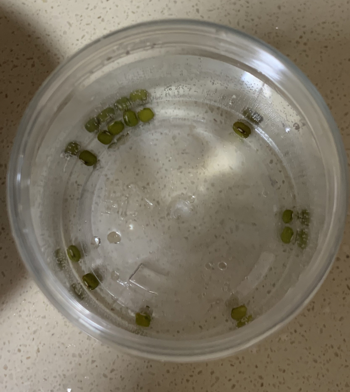 97绿豆发芽记 step 1: 第一天晚上把绿豆泡水里,这样有利于发芽.