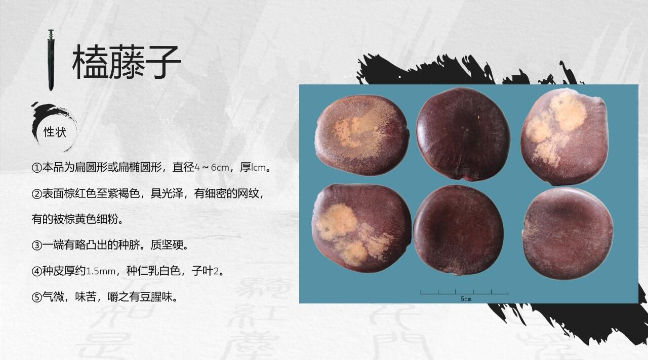 『冷背药专题』除风止痛的榼藤子 榼藤子是较为冷背的药材,在地方标准