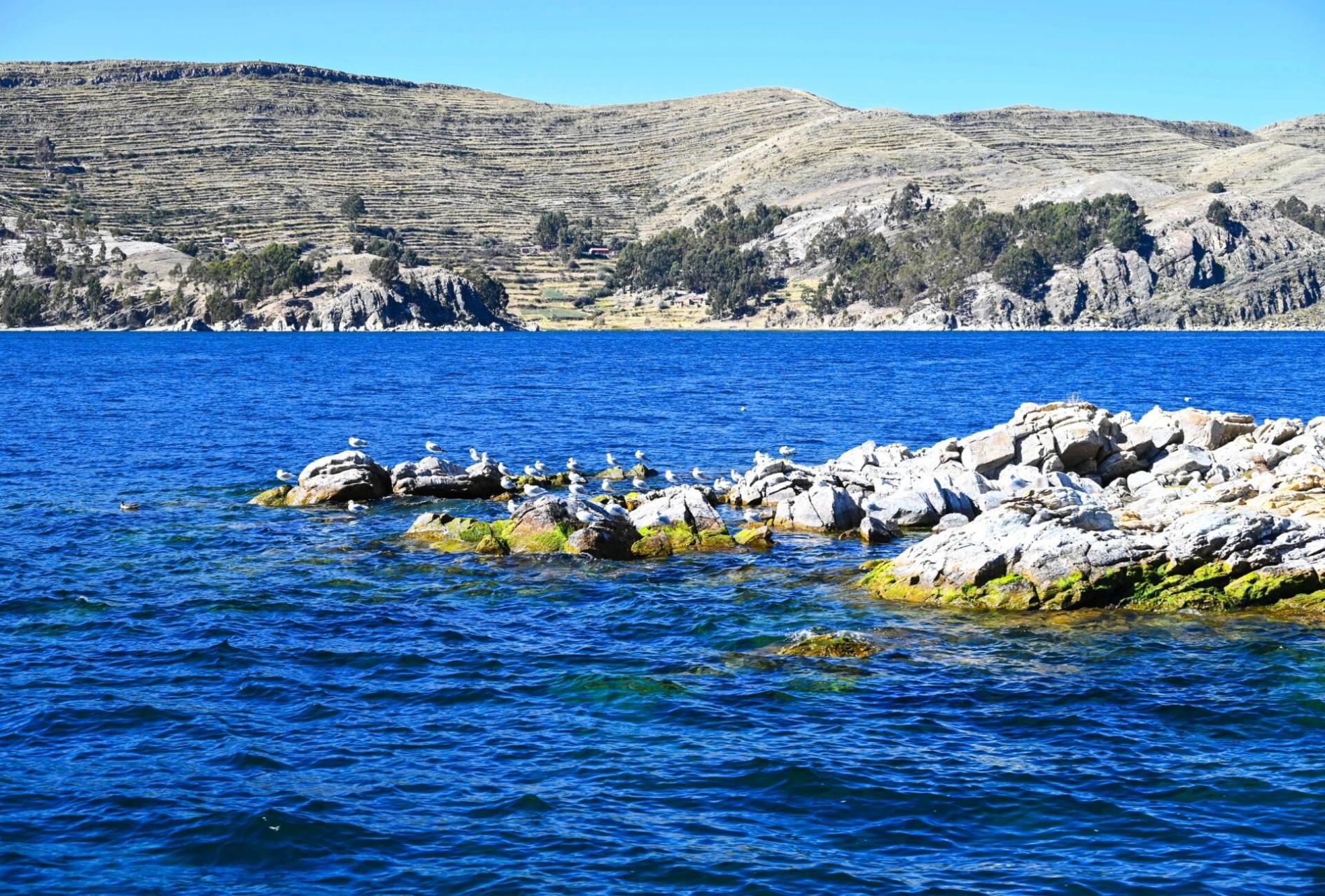 titicaca的的喀喀湖～南美洲印第安最美湖泊 titicaca 一个可以看雪山