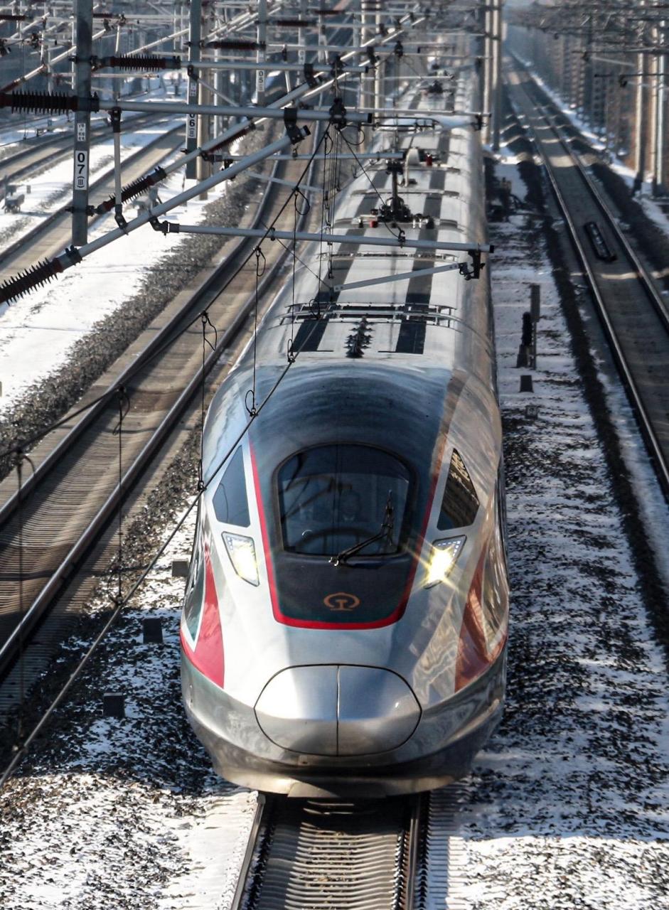 龙年到,就要看"神龙"!