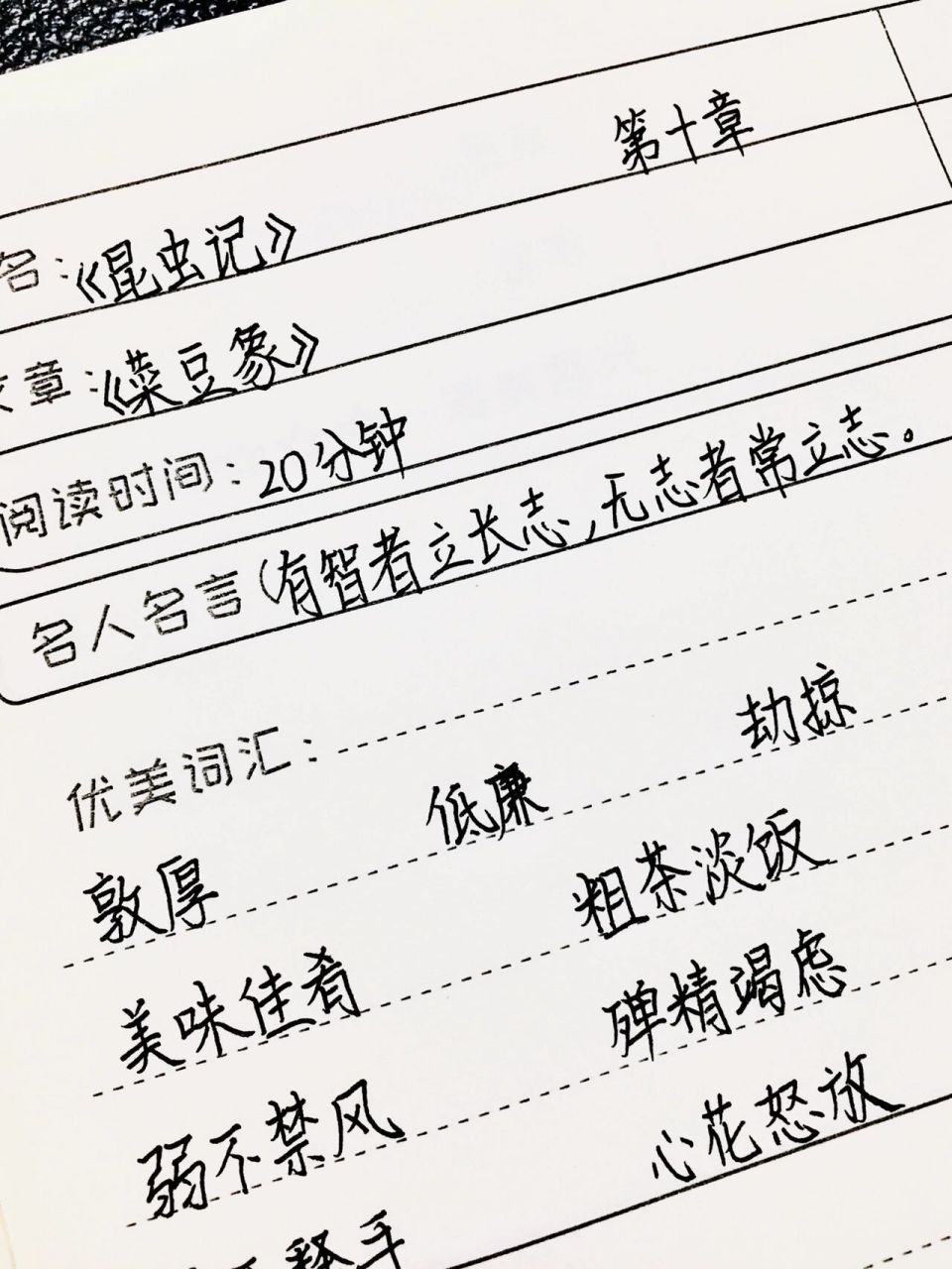 《昆虫记》读书笔记 | 第十章《菜豆象》 03全灵同款文具和图书95