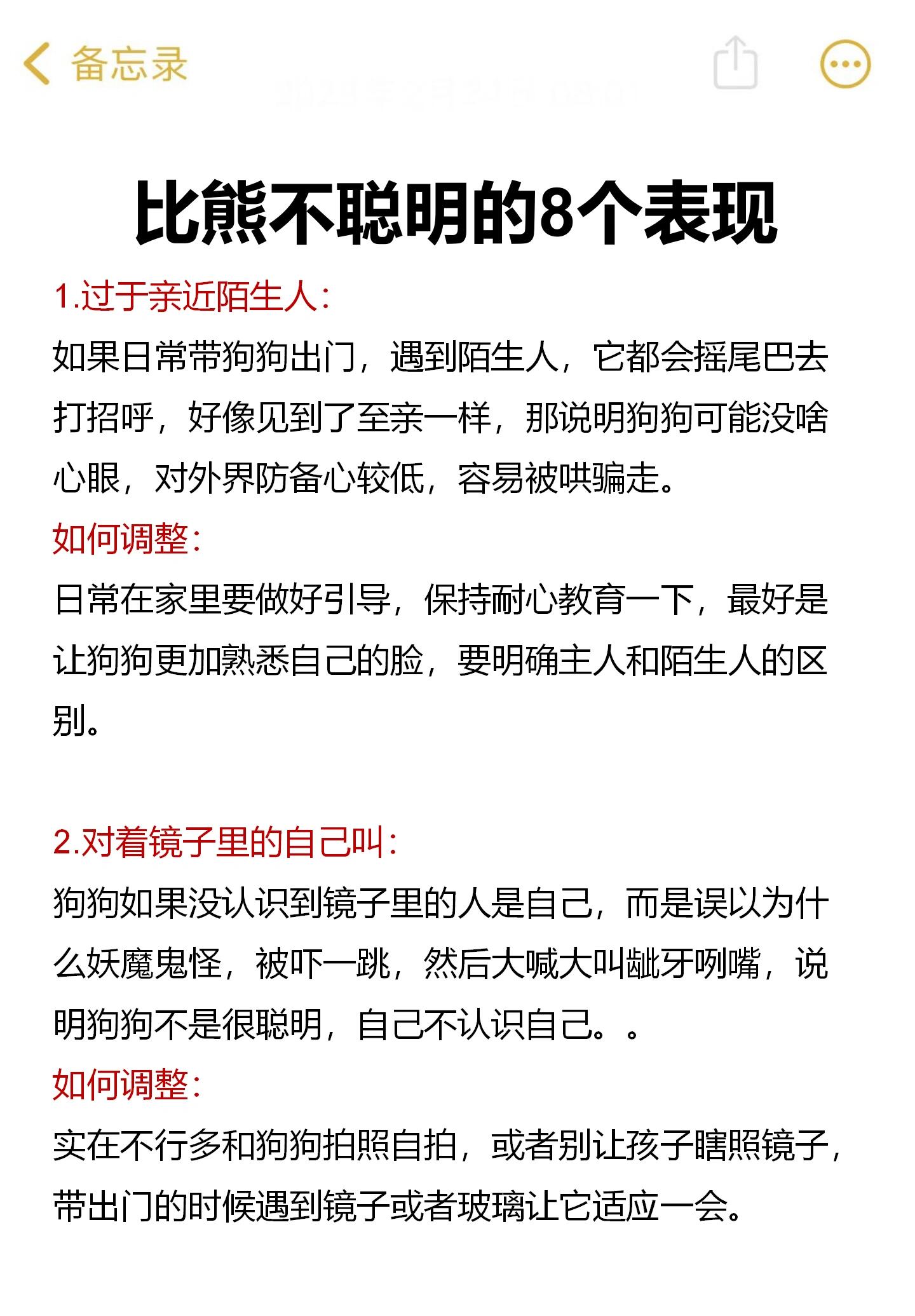 比熊不是很聪明的8个表现,有没有你家的?