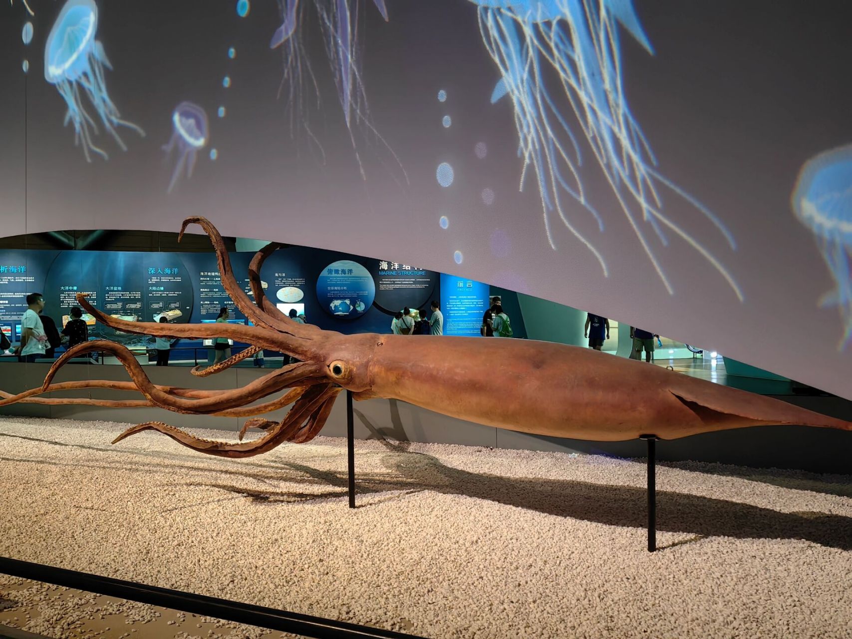 【天津】国家海洋博物馆之今日海洋  在今日海洋展厅内,几千个海洋