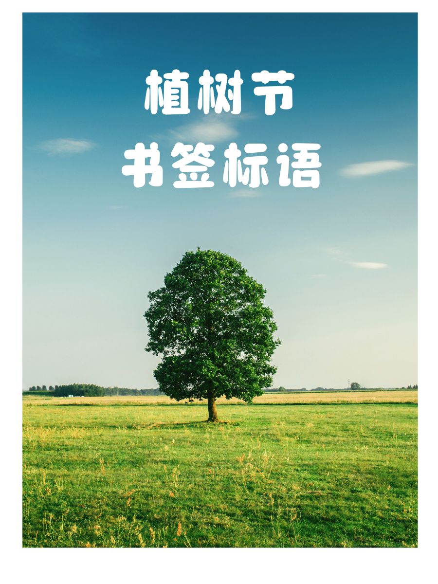 让书签成为知识的森林