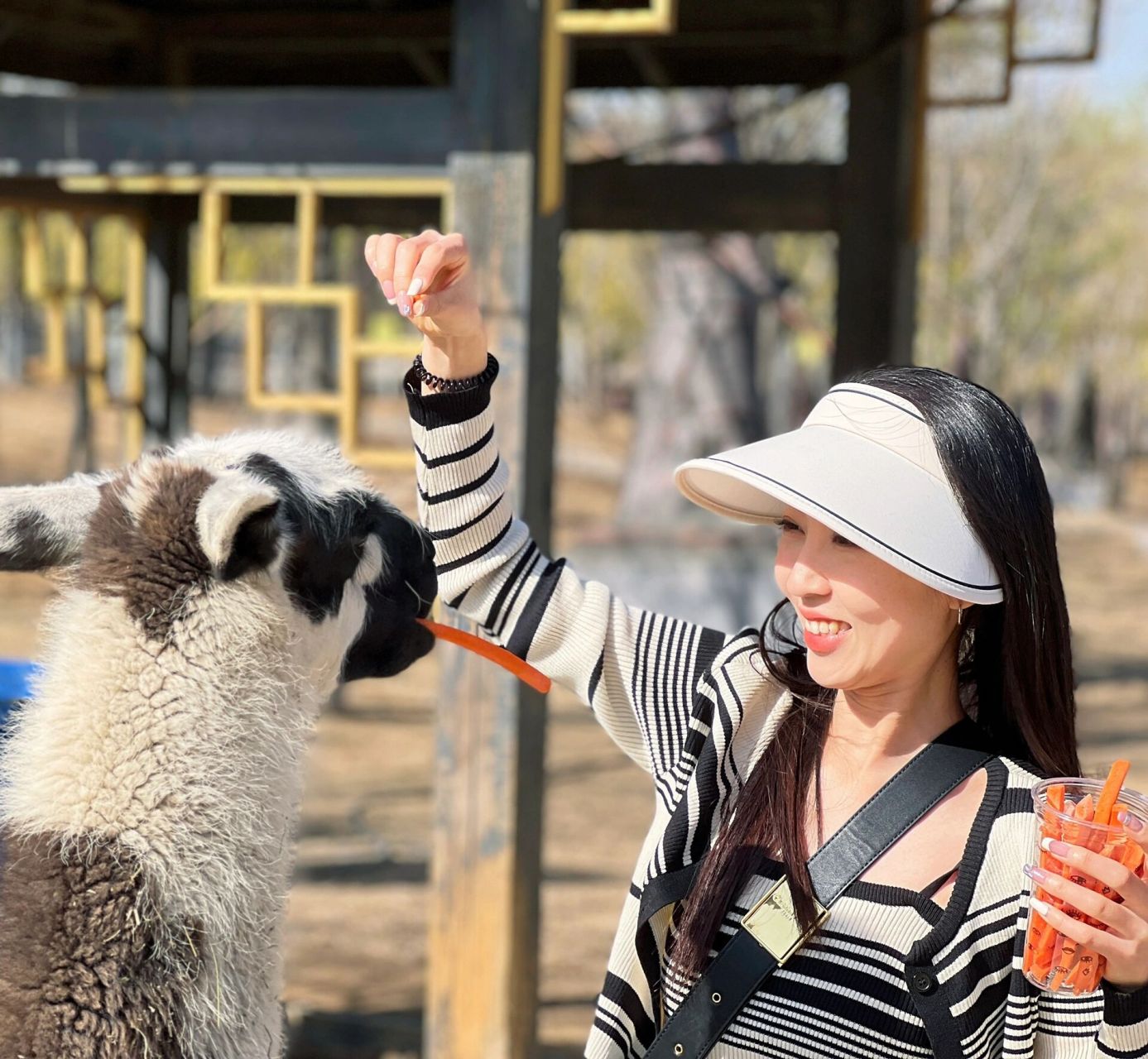 日照週末周邊遊——諸城動物園 本週末出發諸城動物園 內部挺大的