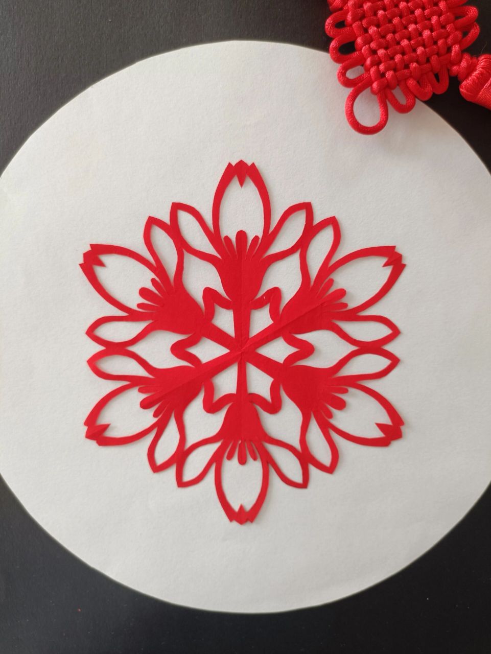 每日一剪|玉兰花 六折剪纸