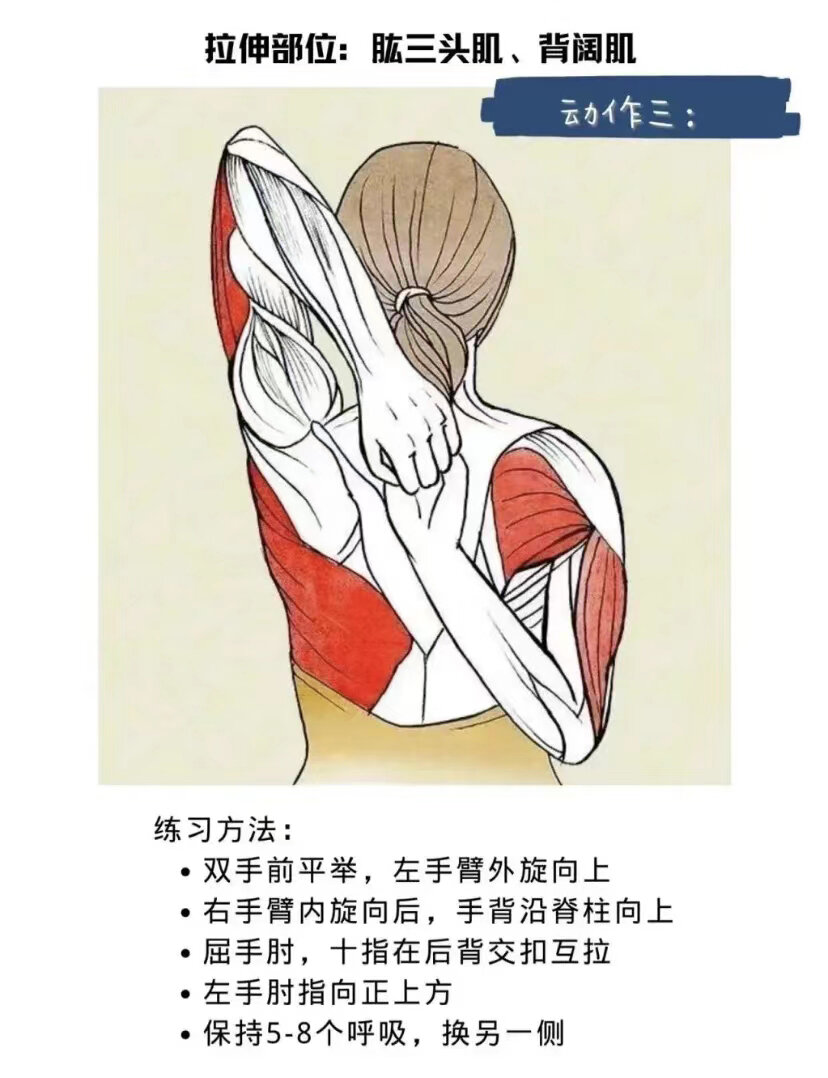 分享一组动作拉伸胸大肌