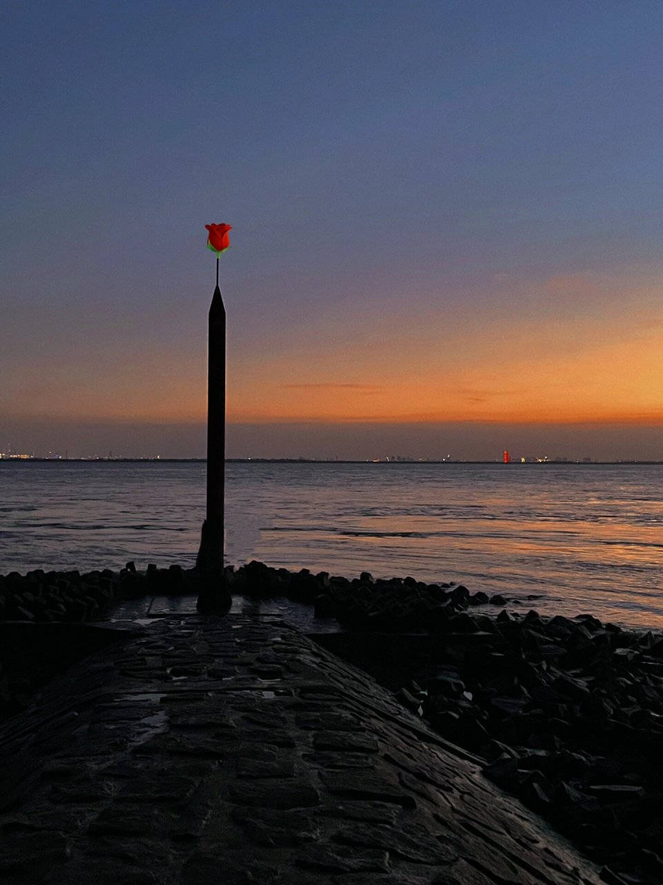崇明网红丁坝,终于来了 陪你看日落🌇的人 比日落本身更浪漫 📍堡