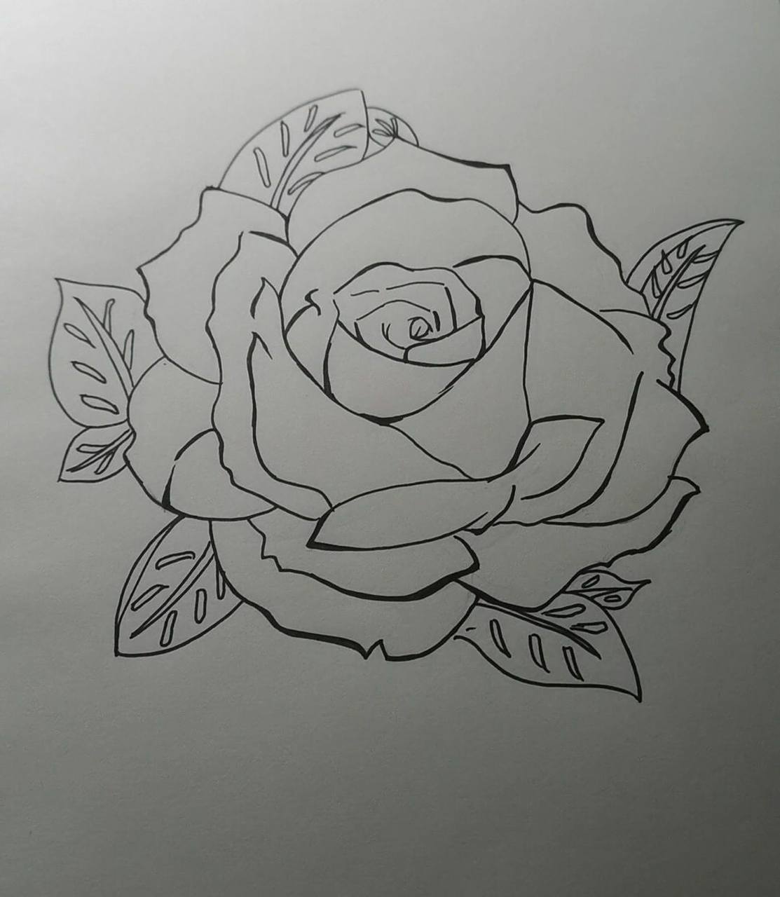 玫瑰花简笔画94   相册翻到两张很久之前的照片,就当发第1条动态啦