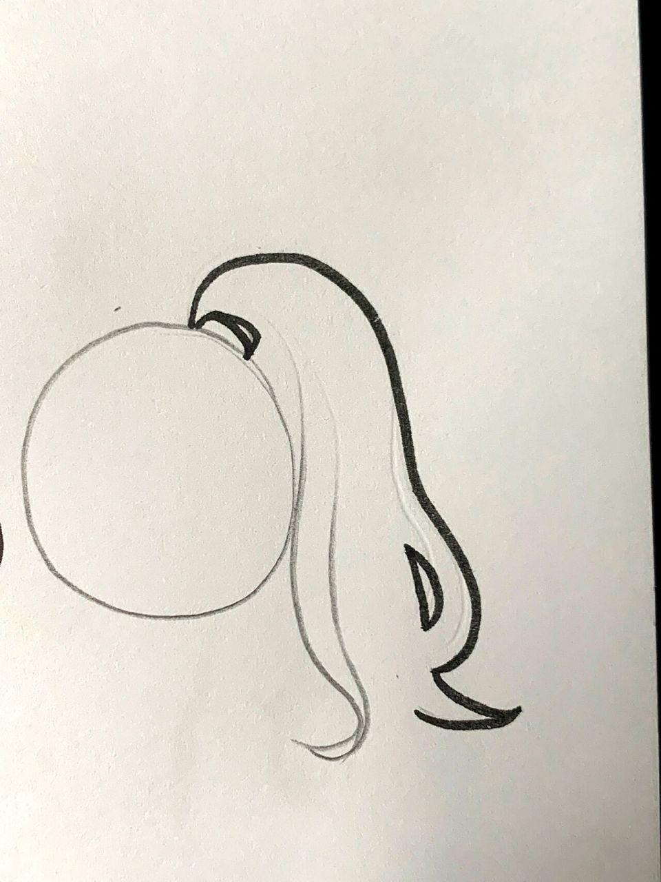 36615步63156315马尾画法 16615如图 26615画出