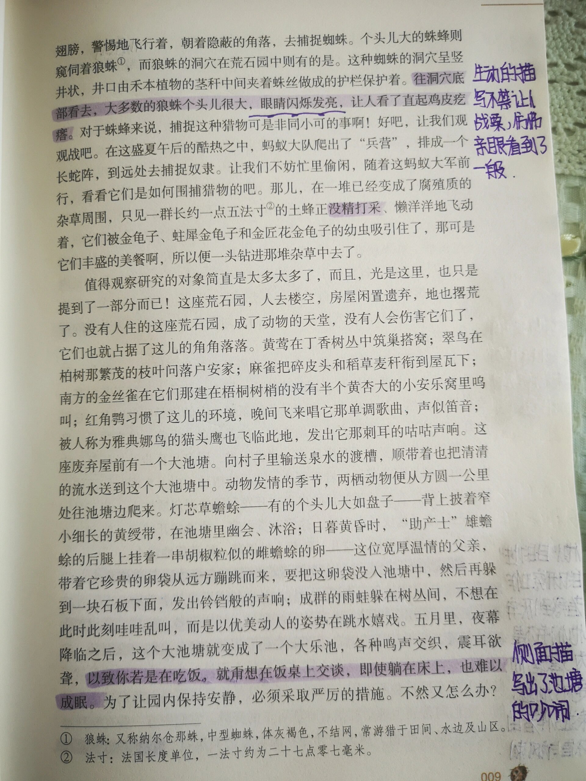 《荒石园》读书笔记