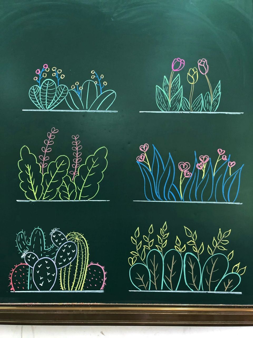 粉笔画69 花草 临摹-winnie