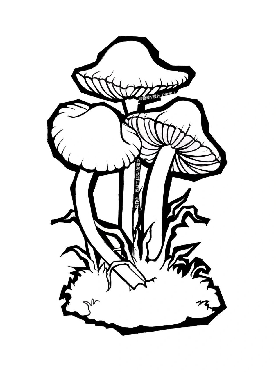 鲁美设计|黑白装饰画|蘑菇|内附步骤 鲁迅美术学院设计基础,黑白装饰