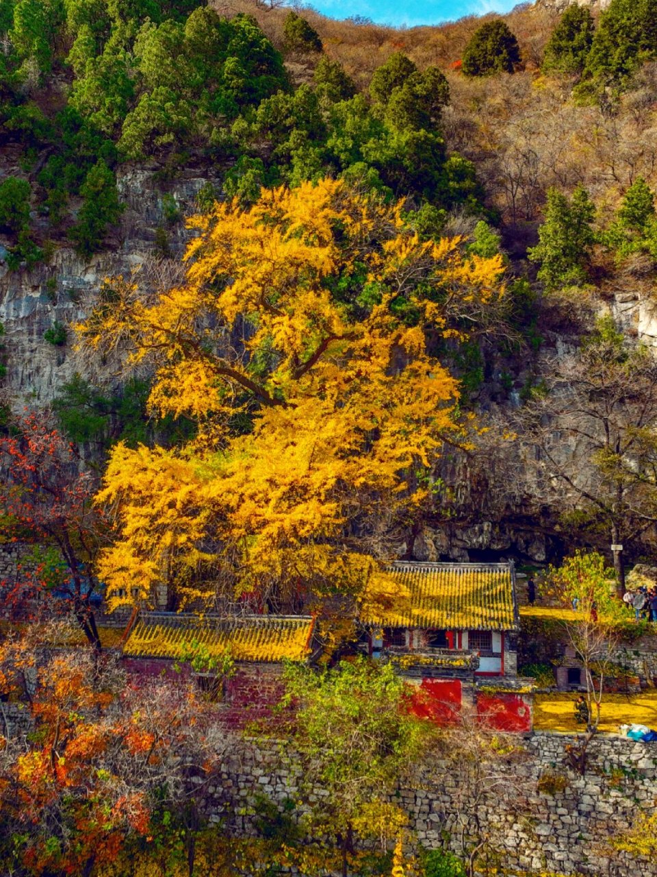 博山不收费的景点图片