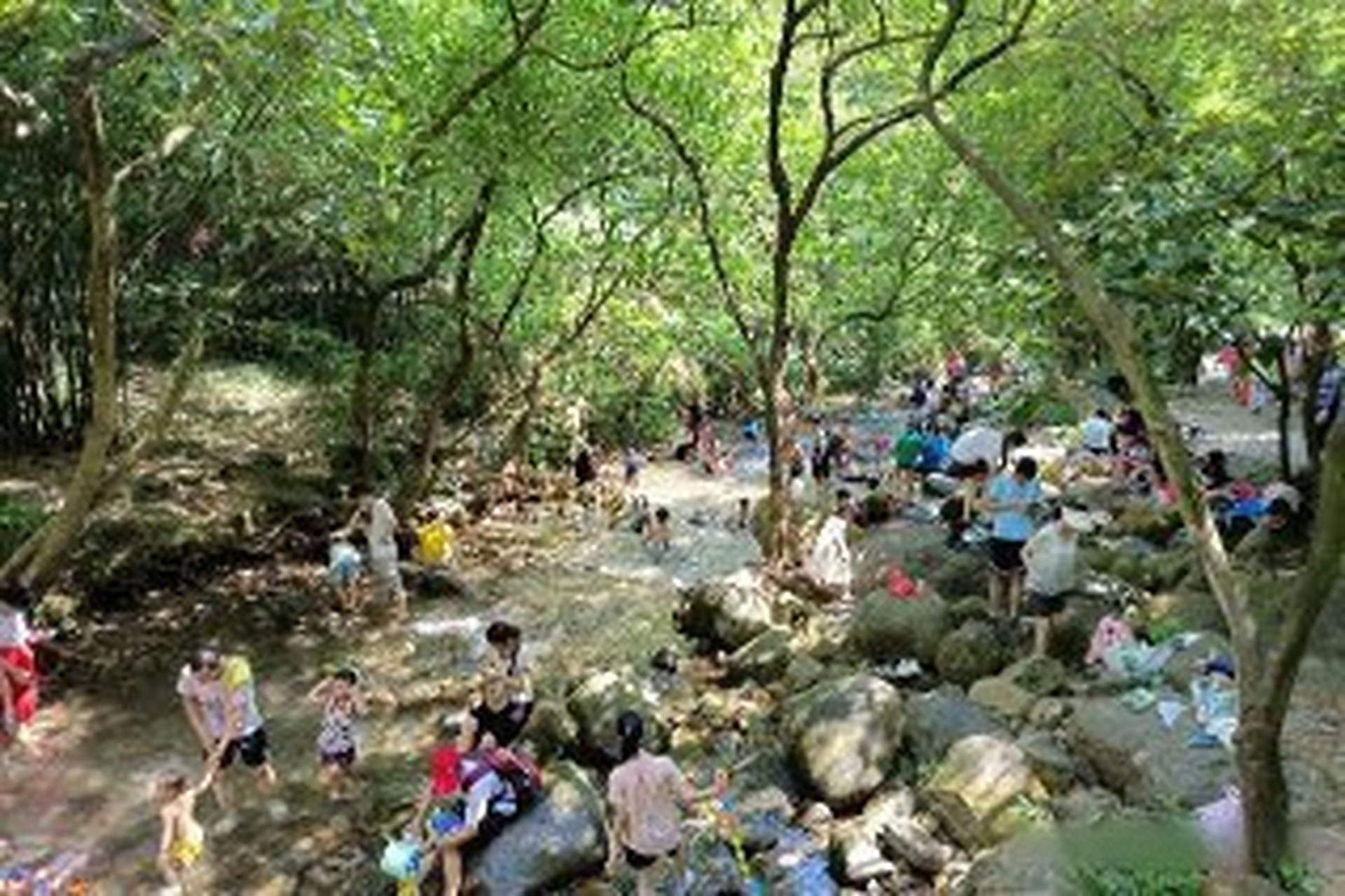 广州周边一日游(广州周边一日游景区推荐)
