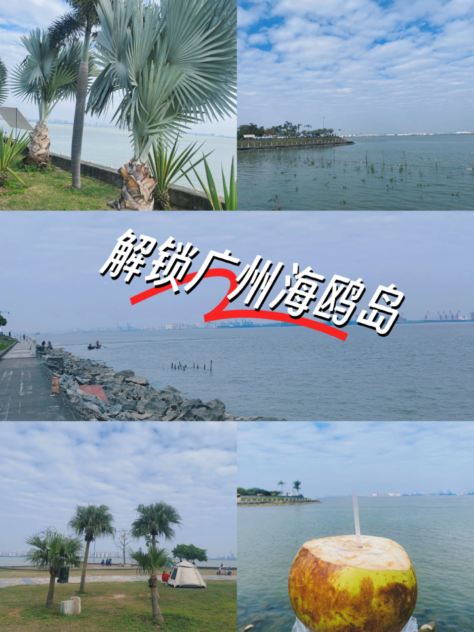 广州 | 海鸥岛攻略 #海鸥岛  天气:98  里程04:环岛一圈30公里