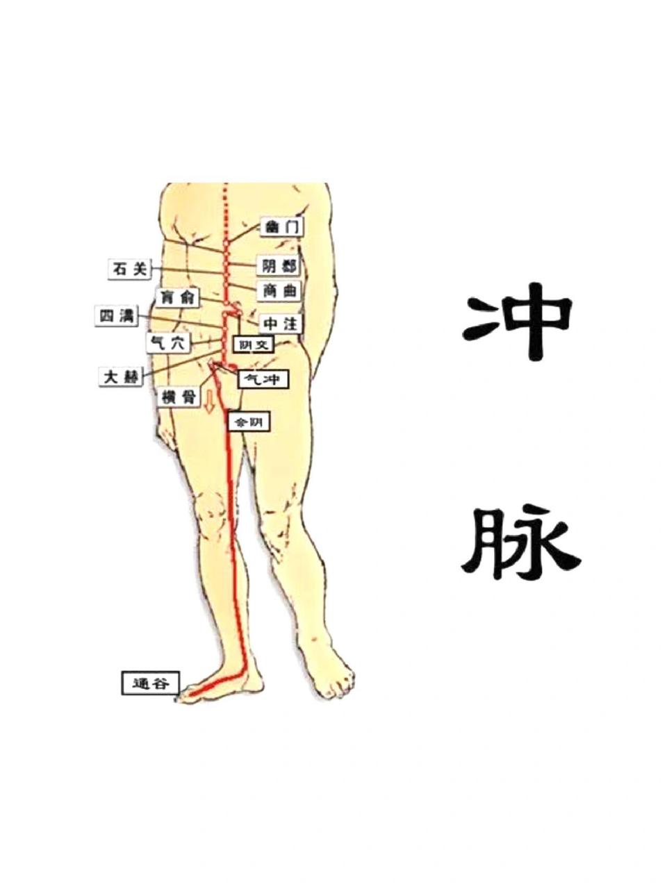 冲阳脉位置图解图片