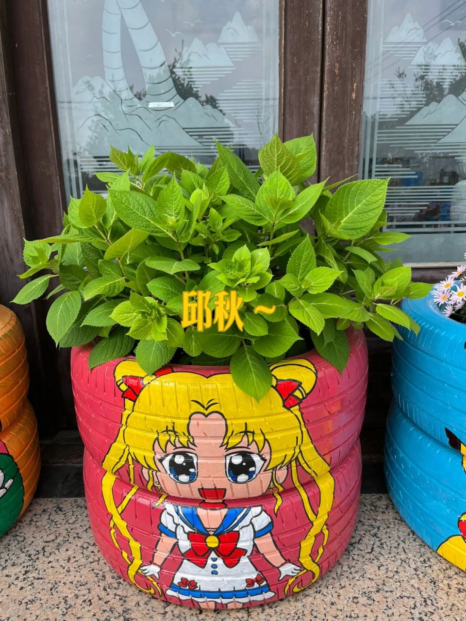 美丽的轮胎花盆 轮胎画上漂亮的图案,配上美丽的花朵,爱了吗?