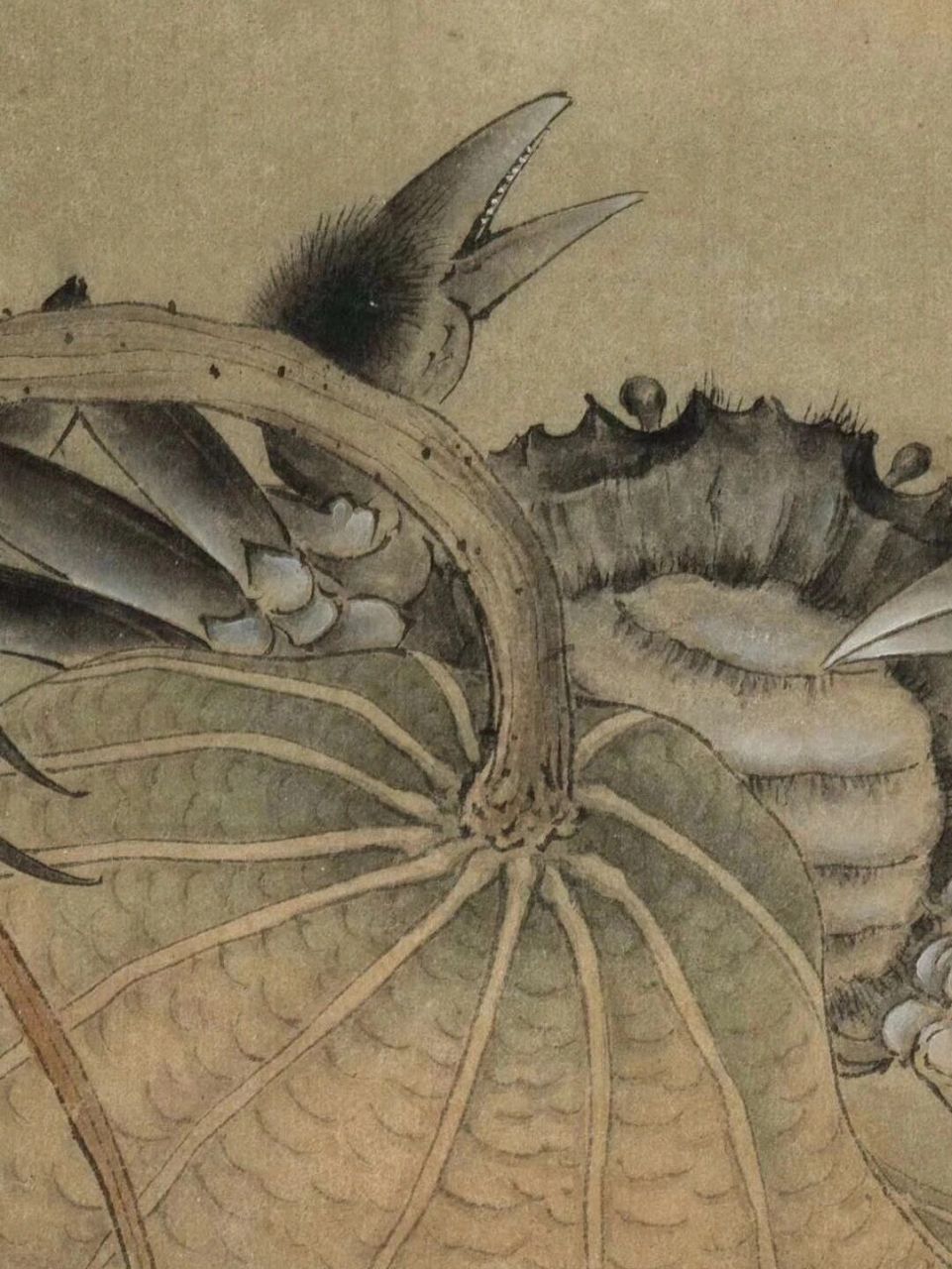 工笔画步骤分享《临宋荷蟹图》 李晓明《临宋荷蟹图》绘制步骤 尺寸