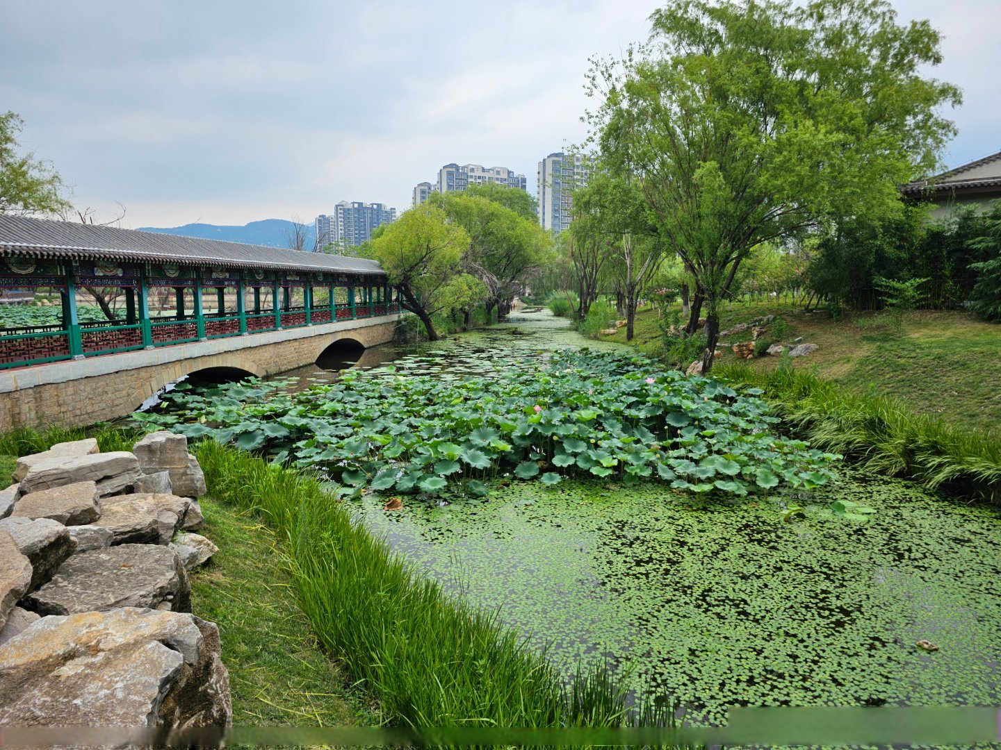 在电视剧里,慈禧说要让洋人死.但在历史上,洋人可是有大用的
