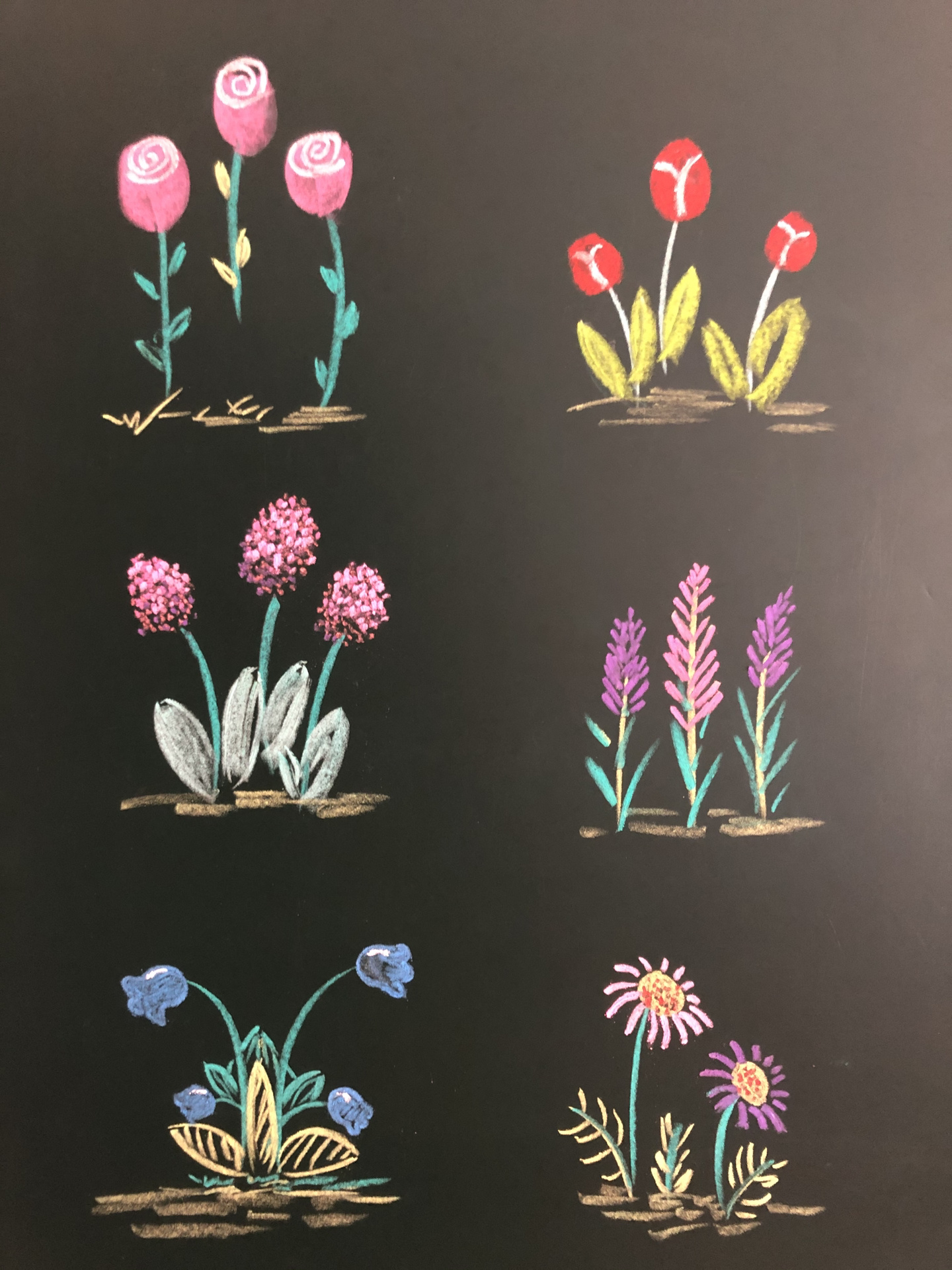 粉笔画一黑板报素材 简单的花