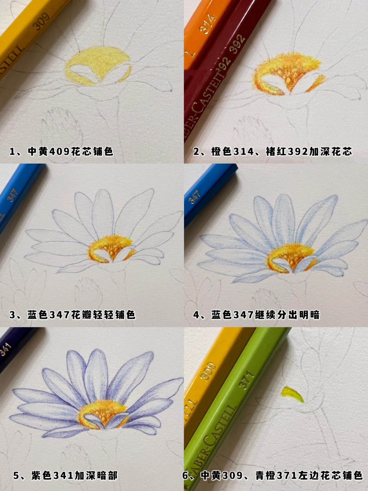 彩铅花卉——小雏菊,附步骤图