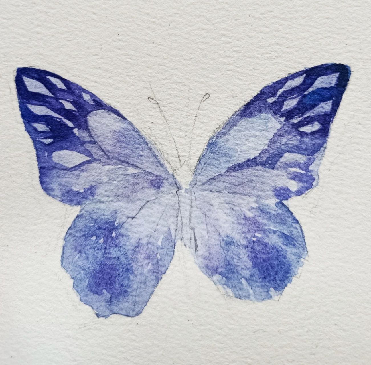 水彩蝴蝶|附线稿 步骤图 详细讲解 小提示 来画一只蝴蝶吧 【纸】宝虹