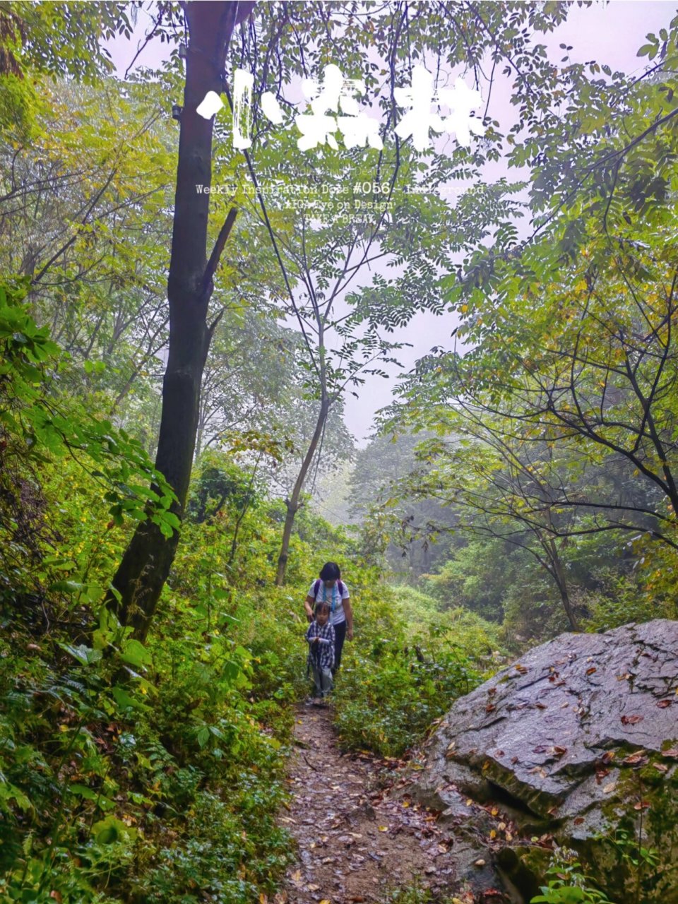 扯袍峪人头山 亲子爬 雨中 太舒畅 坐标:西安长安区杨庄汪峪村扯袍峪