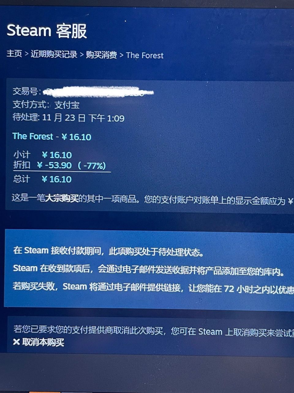 steam支付了但游戏没放进库里01 这是什么情况啊 一开始支付不了